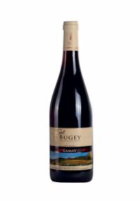 Bugey Gamay domaine Angelot